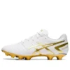 DS Light Wide “White Rich Gold”