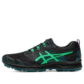 Gel-FujiSetsu 3 GTX “Black New Leaf”