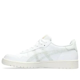 Japan S “Pure Aqua”